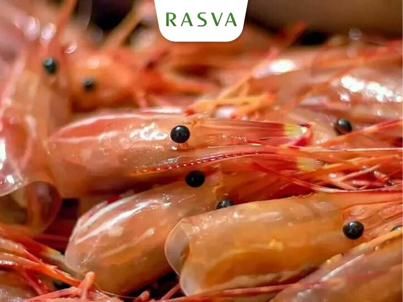 Chitosan được ứng dụng rộng rãi trong nhiều lĩnh vực Chitosan được ứng dụng rộng rãi trong nhiều lĩnh vực